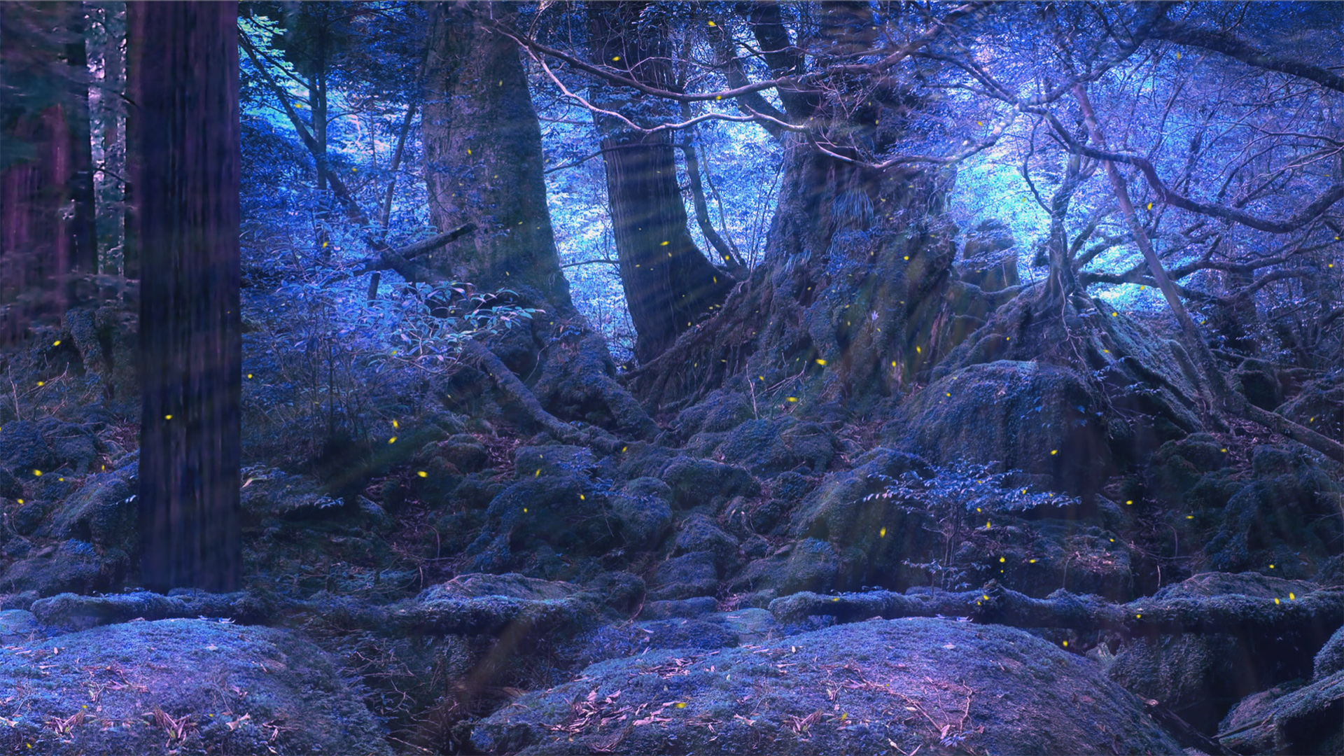 360 virtual environemnt fantasy forest at night